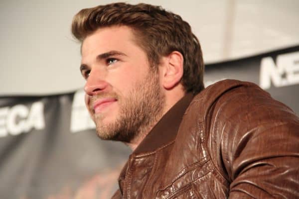 Liam Hemsworth, Gale of The Hunger Games