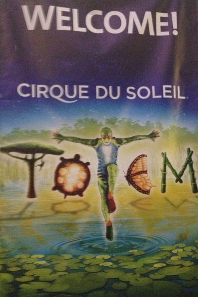 Cirque du Soleil Totem Performance in Atlanta Should Not Be Missed