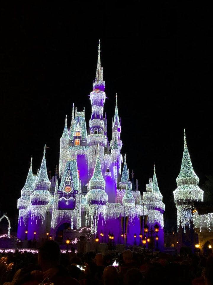 magic kingdom in lights