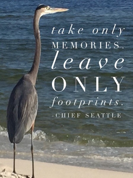 leave only footprints